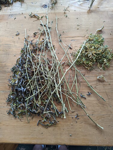 PXL_20220114_182731384