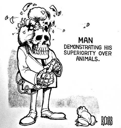 superiority