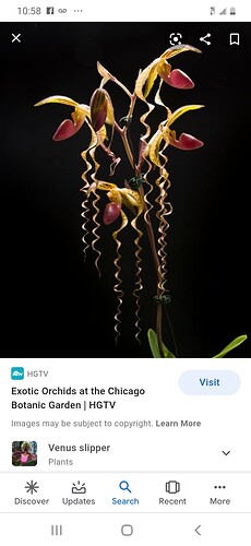 Screenshot_20210210-225826_Google