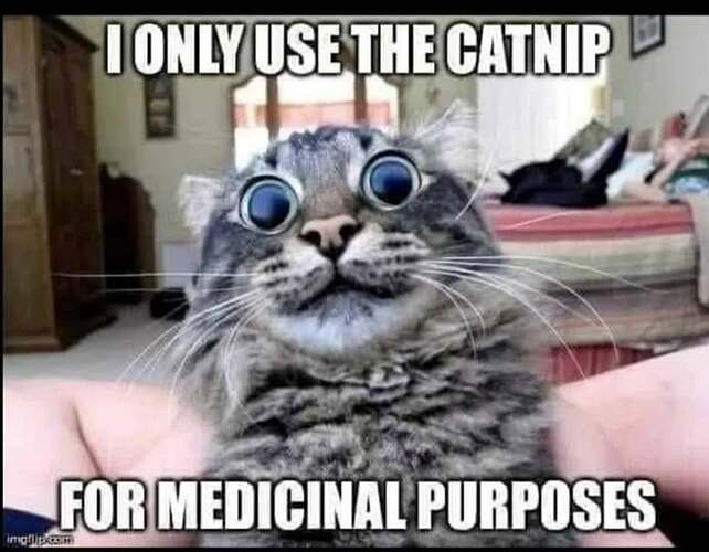 catnip 2
