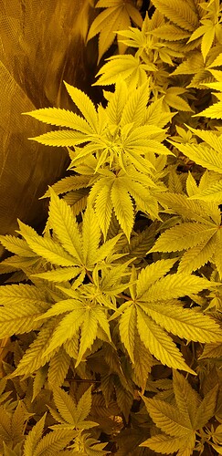 20191224_163614