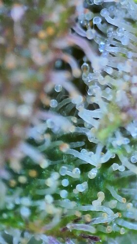 2022_02_14_11_48_29_966