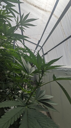 PXL_20250911_203527195