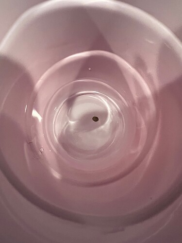 Monkey Slapz Soaking 12 Oct 25