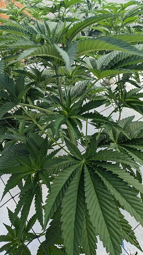 PXL_20250827_165143247