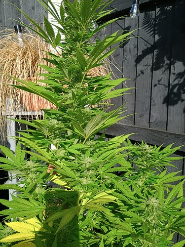 IMG_20250924_101413889_HDR