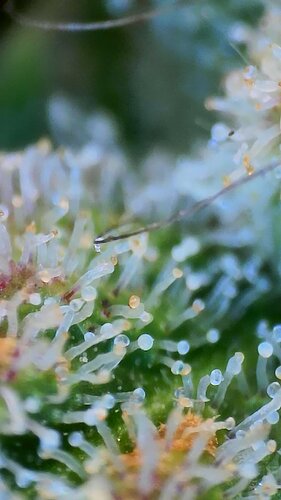 2022_02_14_11_45_57_767