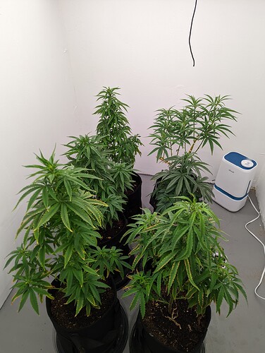 PXL_20220424_134539542