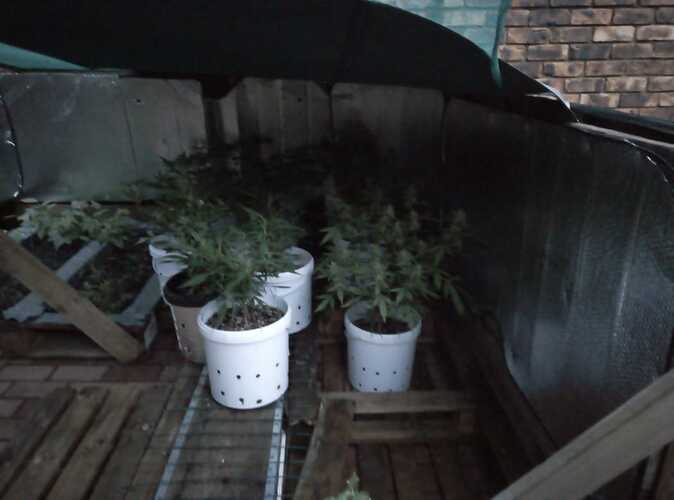 IMG-20200119-WA0001