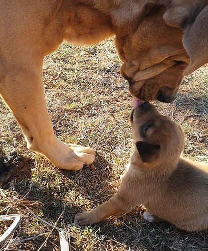 210114655_1691242291063881_4031518088517339807_n