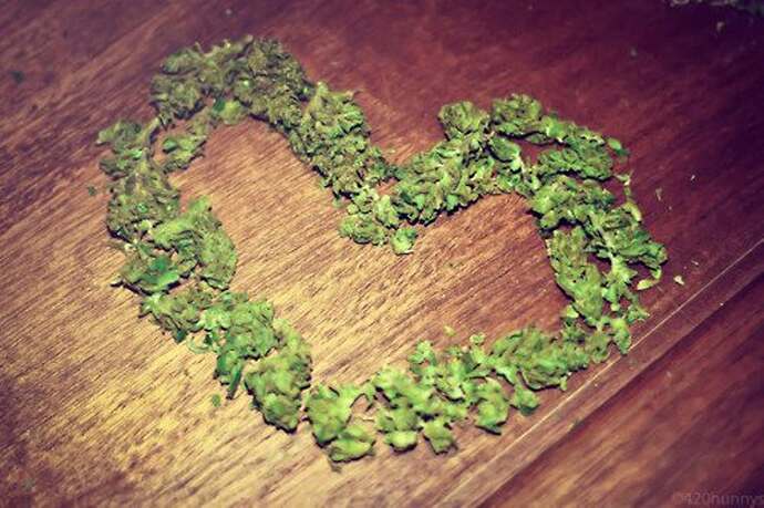 loveweed