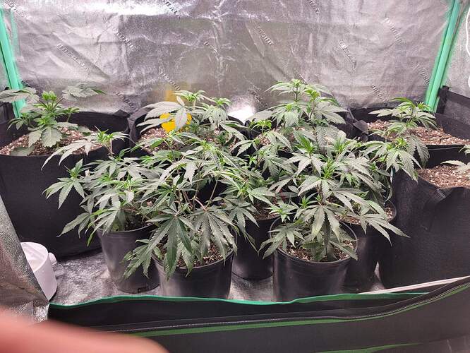 received_885312282707307