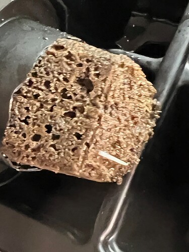 Monkey Slapz Roots Day 8