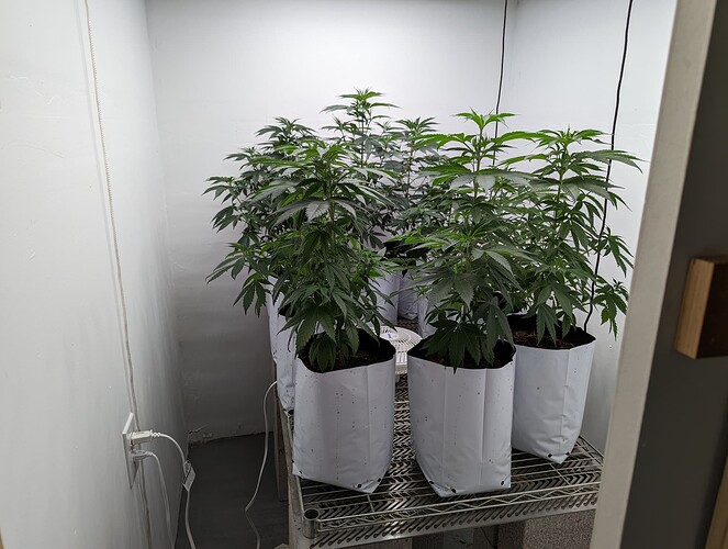 PXL_20220522_134640001