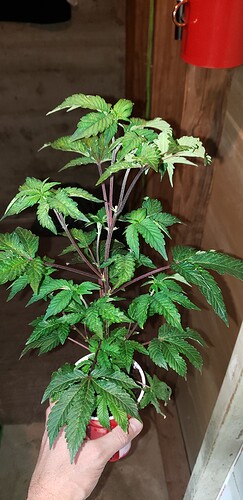 20191204_222632
