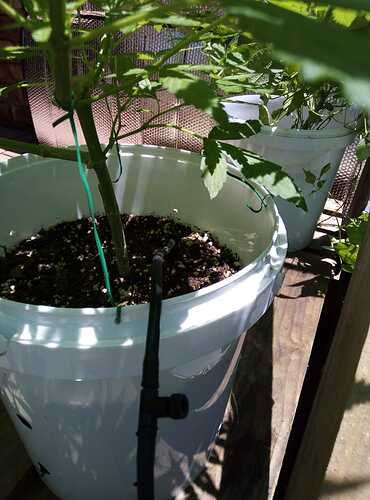 IMG-20200202-WA0001