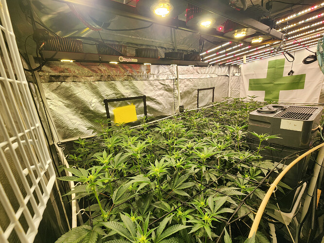 20230717_125152