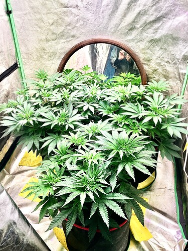 Photo Oct 29, 5 35 55 AM