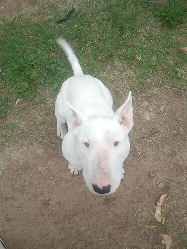 1965680_10154798593300714_317986046126345528_o