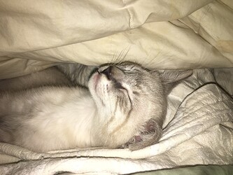 A8603865-84AB-4E8A-A421-3B7FEDC4C477