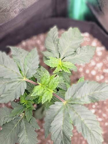 received_926245525174944