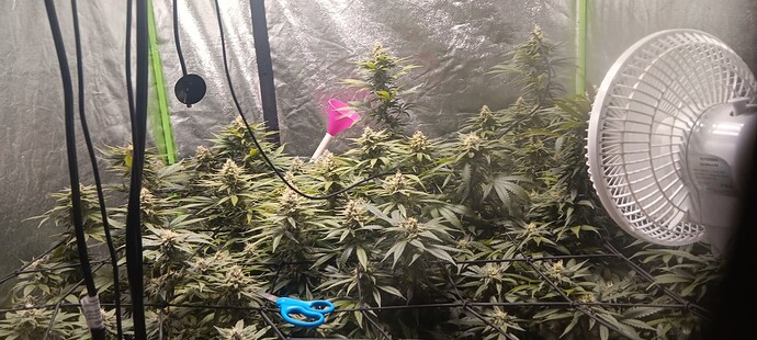 17075931941558611538860185713832