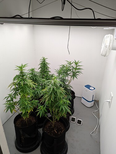 PXL_20220427_025040241