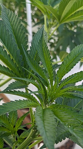 PXL_20250911_144404515