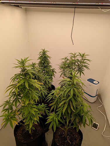 PXL_20220427_132918720