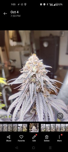 Screenshot_2025-10-06-13-03-25-56_92460851df6f172a4592fca41cc2d2e6