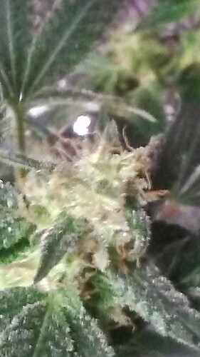 20200415_085058_HDR