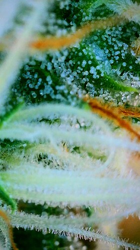 2025_07_14_09_10_24_144