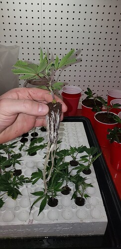 20191222_152921