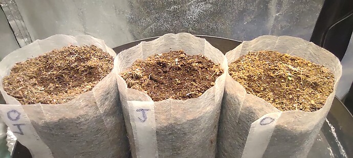 IMG_20231025_070913900