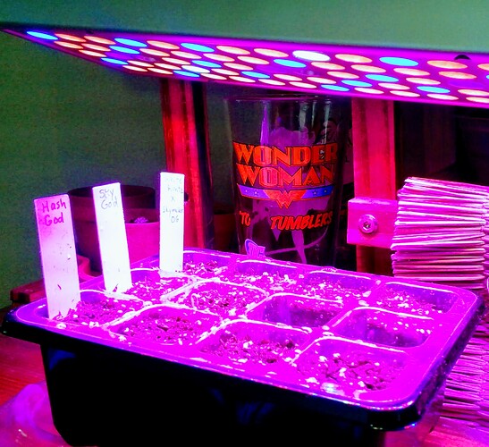 GN April 22 Tray under 25W LED without dome