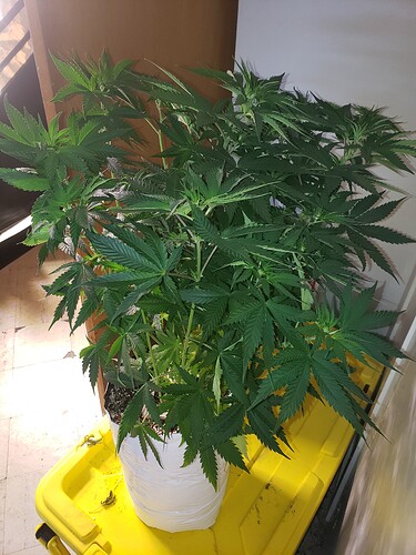 20210715_144839