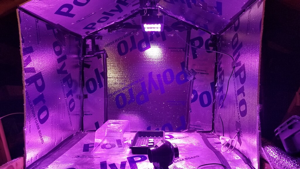 Ethos Candy Store grow Grow Journals Growers Network Forum