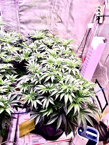 Photo Oct 29, 5 35 42 AM