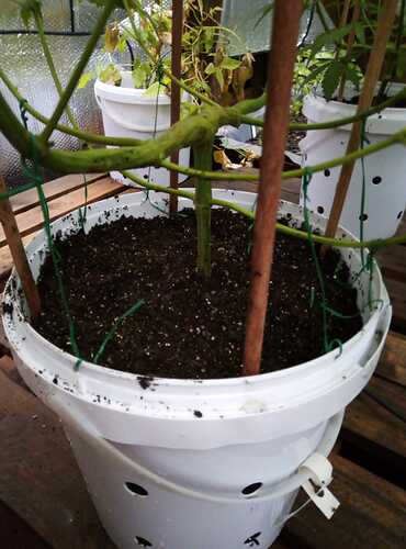 IMG-20200208-WA0015