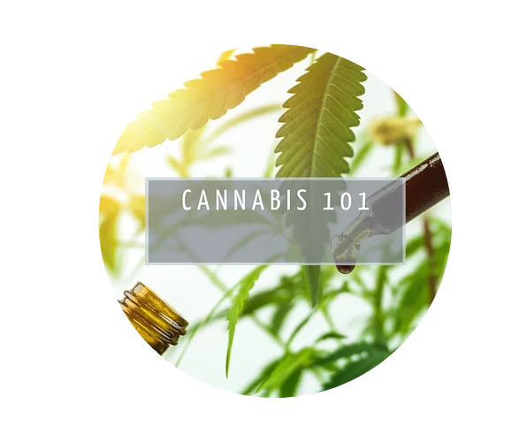 Cannabis101icon