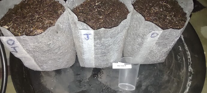 IMG_20231022_081537250