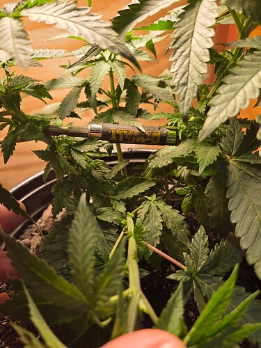 17632166306922830544101407039943