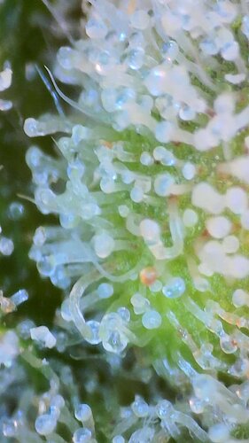 2022_02_14_11_49_37_582