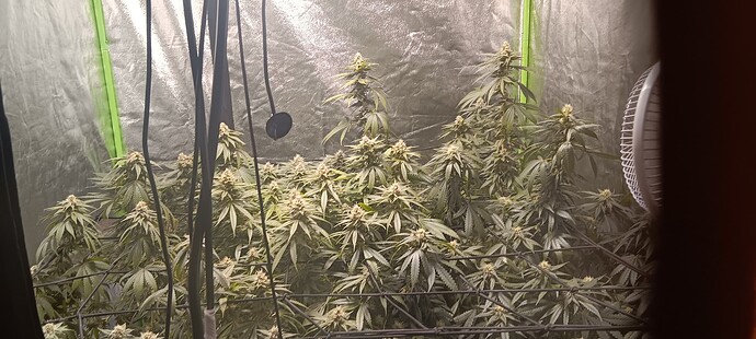 17074149298058178206268757161076