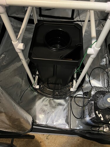 7 Gallon RDWC Setup Lid fits in my plant caddy