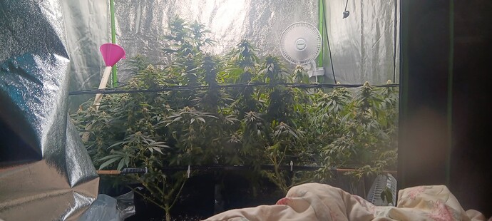 17074189639264626307408102977857