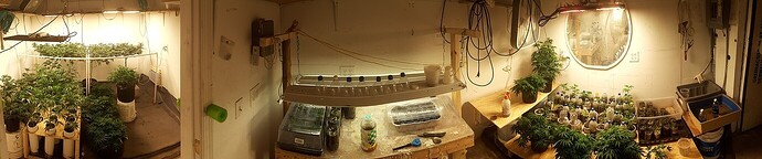 616b3d482438ca3ce03e090c2ba45996205a3bc4_2_1380x288