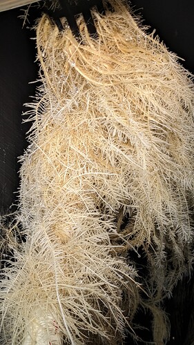 PXL_20250911_225703353