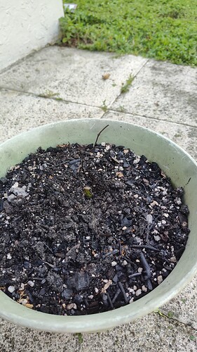 IMG_20250910_092112908