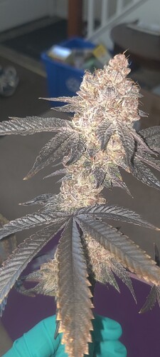 Screenshot_2026-06-14-17-30-25-39_92460851df6f172a4592fca41cc2d2e6